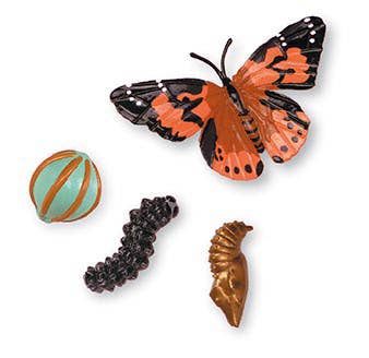 Insect Lore – Brinquedo estatueta - Crianças por atacado – Figuras do ciclo de vida - Borboleta1