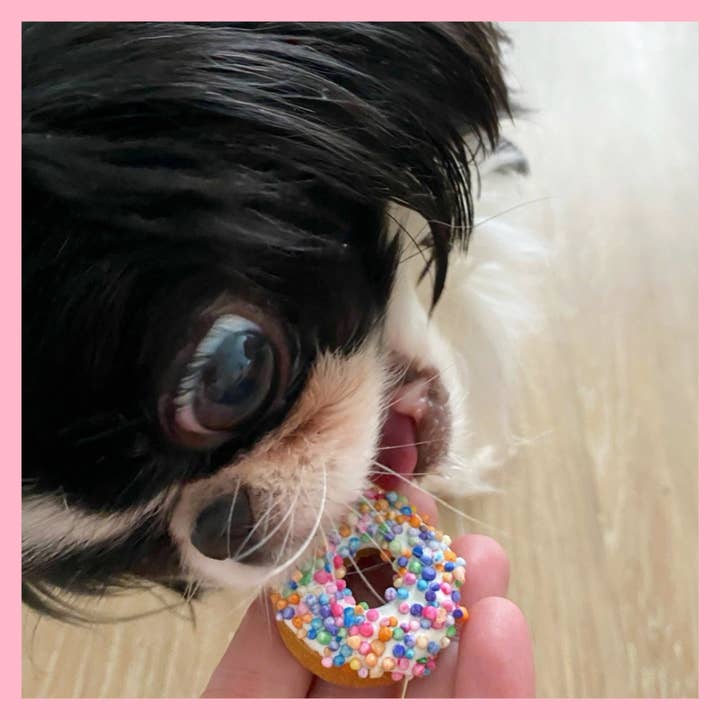 Pup Pawtisserie - Wholesale Pet Treats - Dog - 2 Pack Mini Donuts - Multicolored Sprinkles