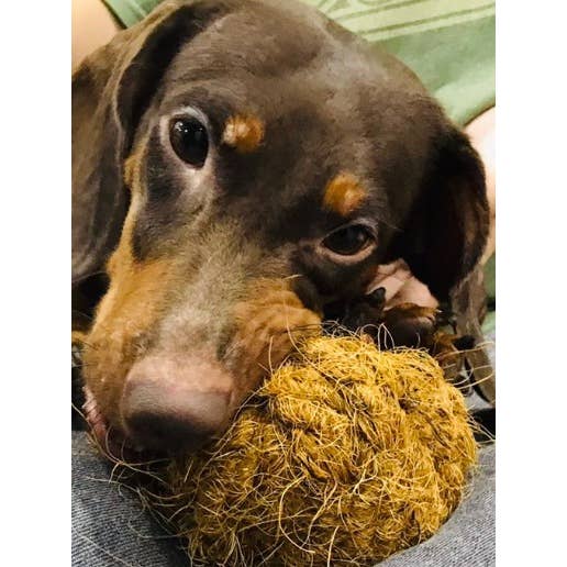 Woodies dog chew toys - Wholesale Pet chew toy – Dog - Nutties coconut husk ball toy for DOGS3