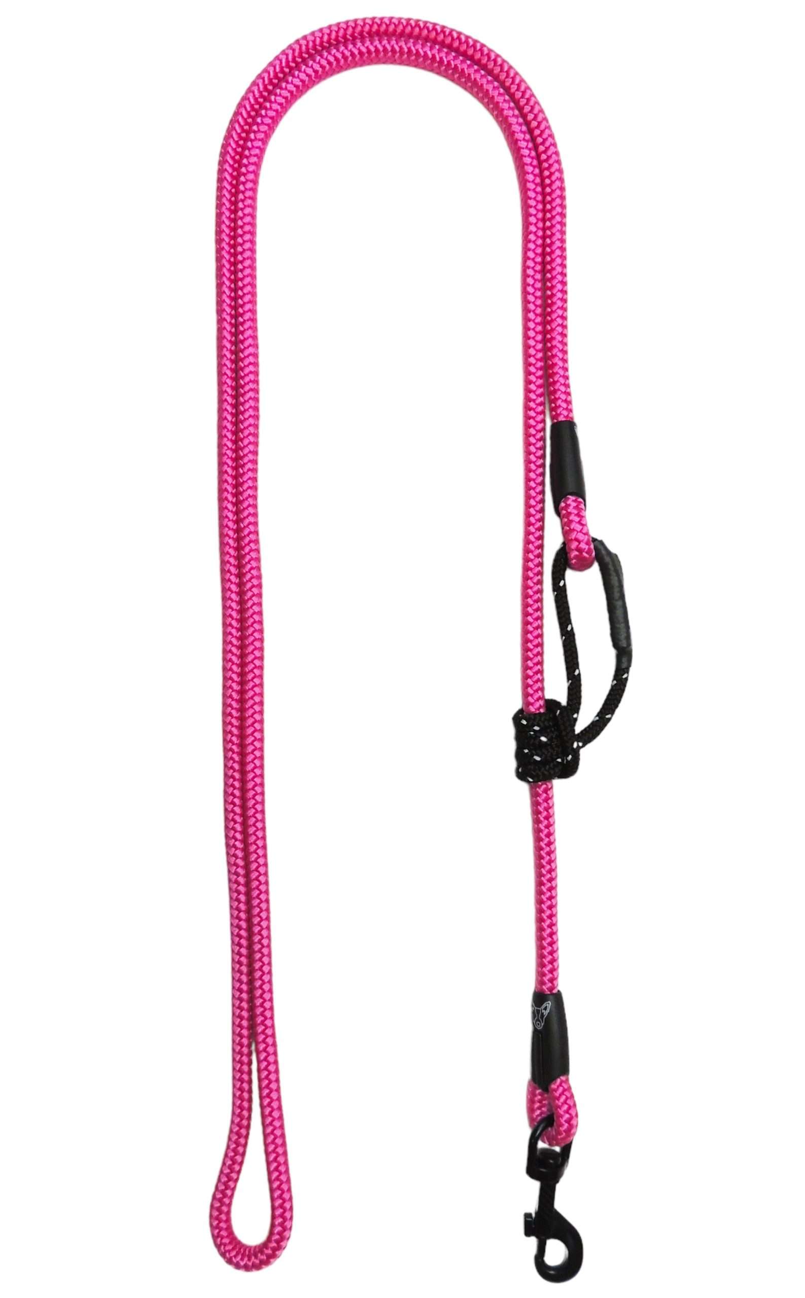 Blue Heeler - Vente Laisse – chien - Pitaya - Laisse extensible pour chien1