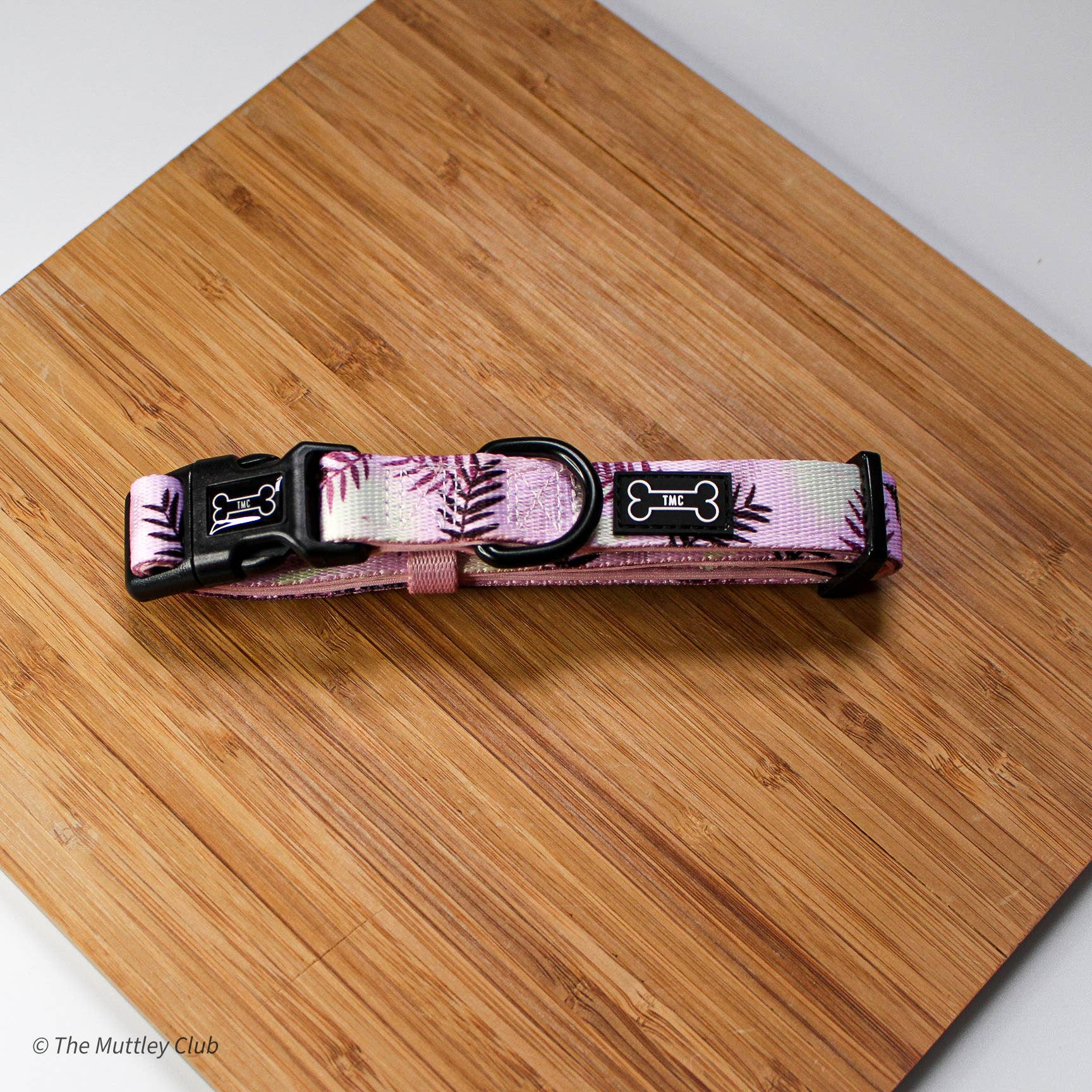 The Muttley Club - Wholesale Pet Collar - Dog - Palm Springs Adjustable Collar1