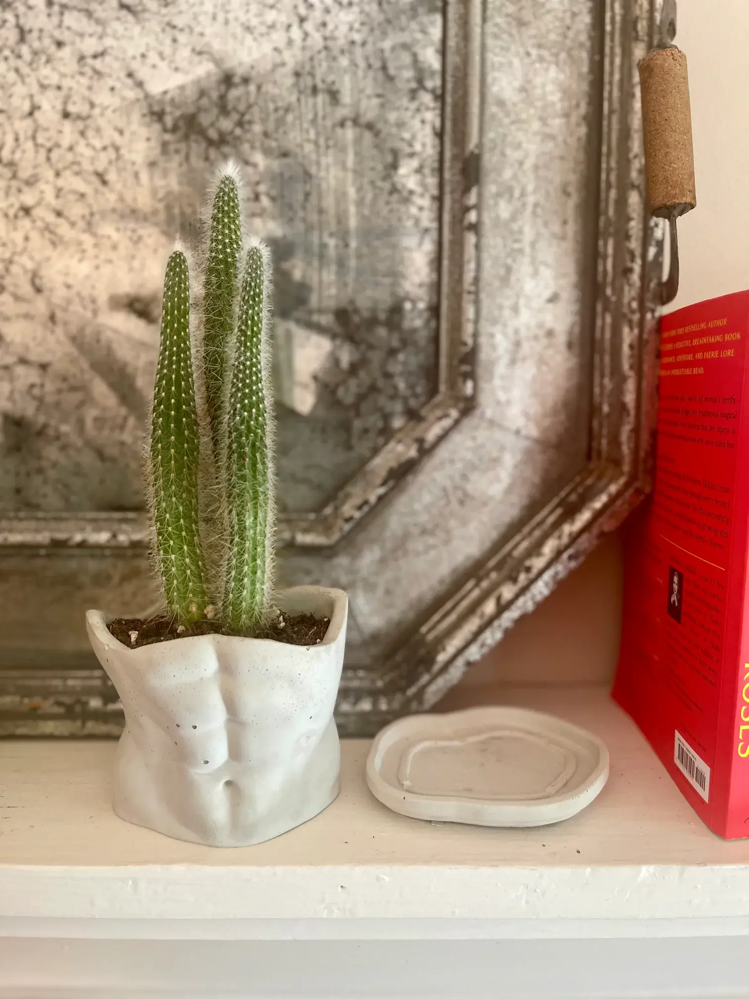 Queen City Crete – wholesale Kruka – Manplanterare1