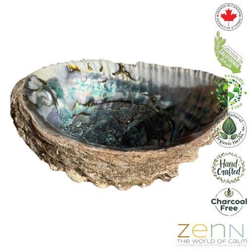 International Gifts Ltd. - Wholesale Smudge Plate - Zenn Abalone 6`` Shell; Believed To Carry The Nurturing-008