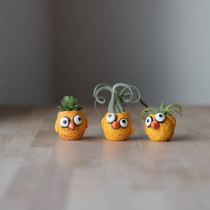 Cohasset Gifts - Wholesale Plant Pot - The Chickies - 3 piece - Baby Chick Blobhouse Planters1