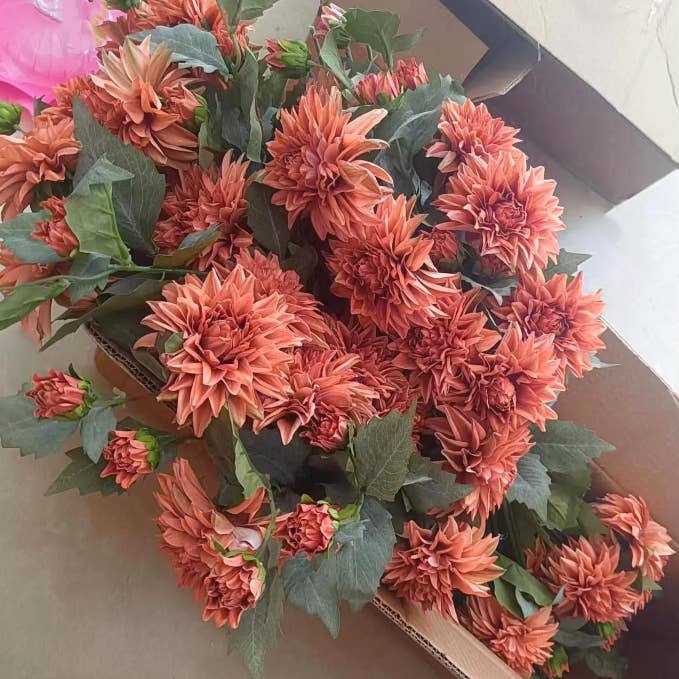 Sweet Home Deco - Wholesale Artificial flowers - 26''T Faux Silk Dahlia Flower Stem, Dahlia in Vintage Colors7