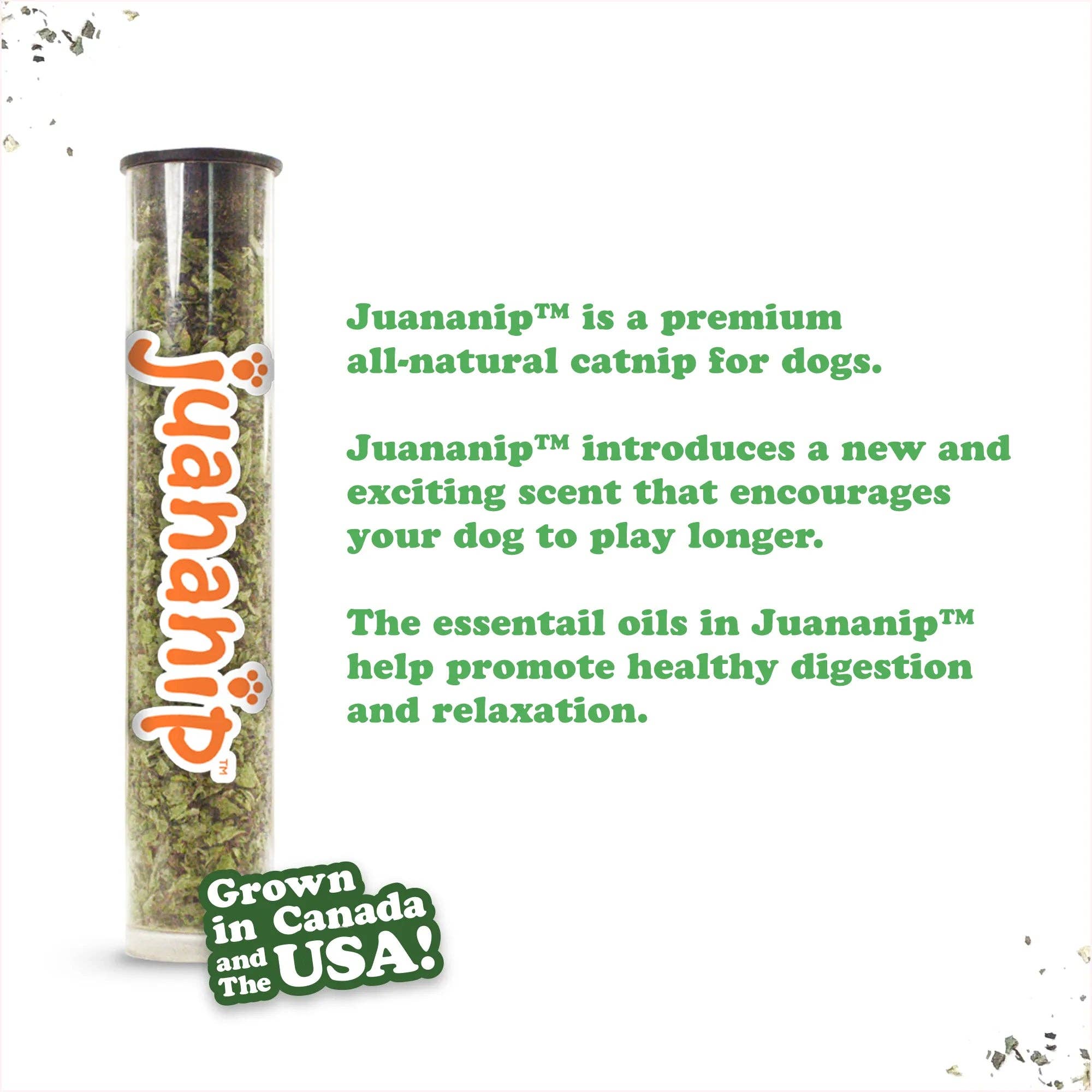 SmarterPaw | Meowijuana & Doggijuana - Wholesale Pet Chew Toy - Dog - Doggijuana® Tuffer Chewer Mini Chicken Wing Dog Toy2