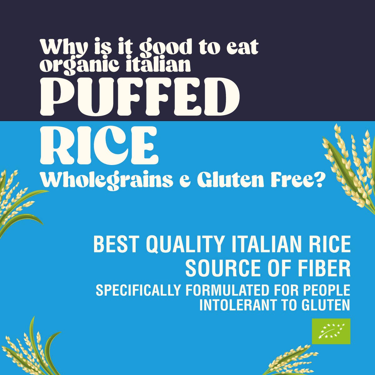 Stella Foods s.r.l. - Wholesale Rice - STELLA Organic Gluten-Free Wholemeal Puffed Rice 100g1