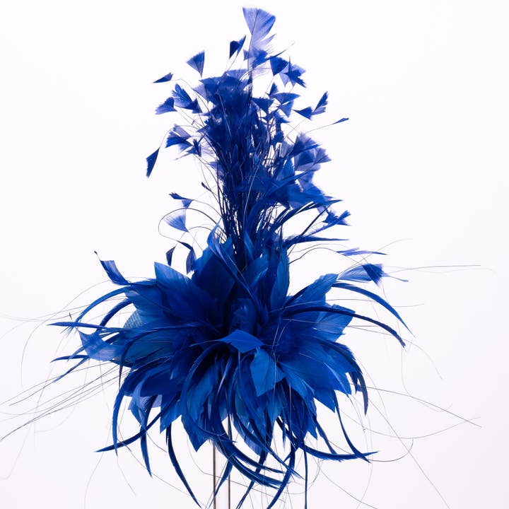 KaKyCo - Wholesale Fascinator hat – Women's - Small Base With Variety Feather On Top Fascinator | AJ780S18