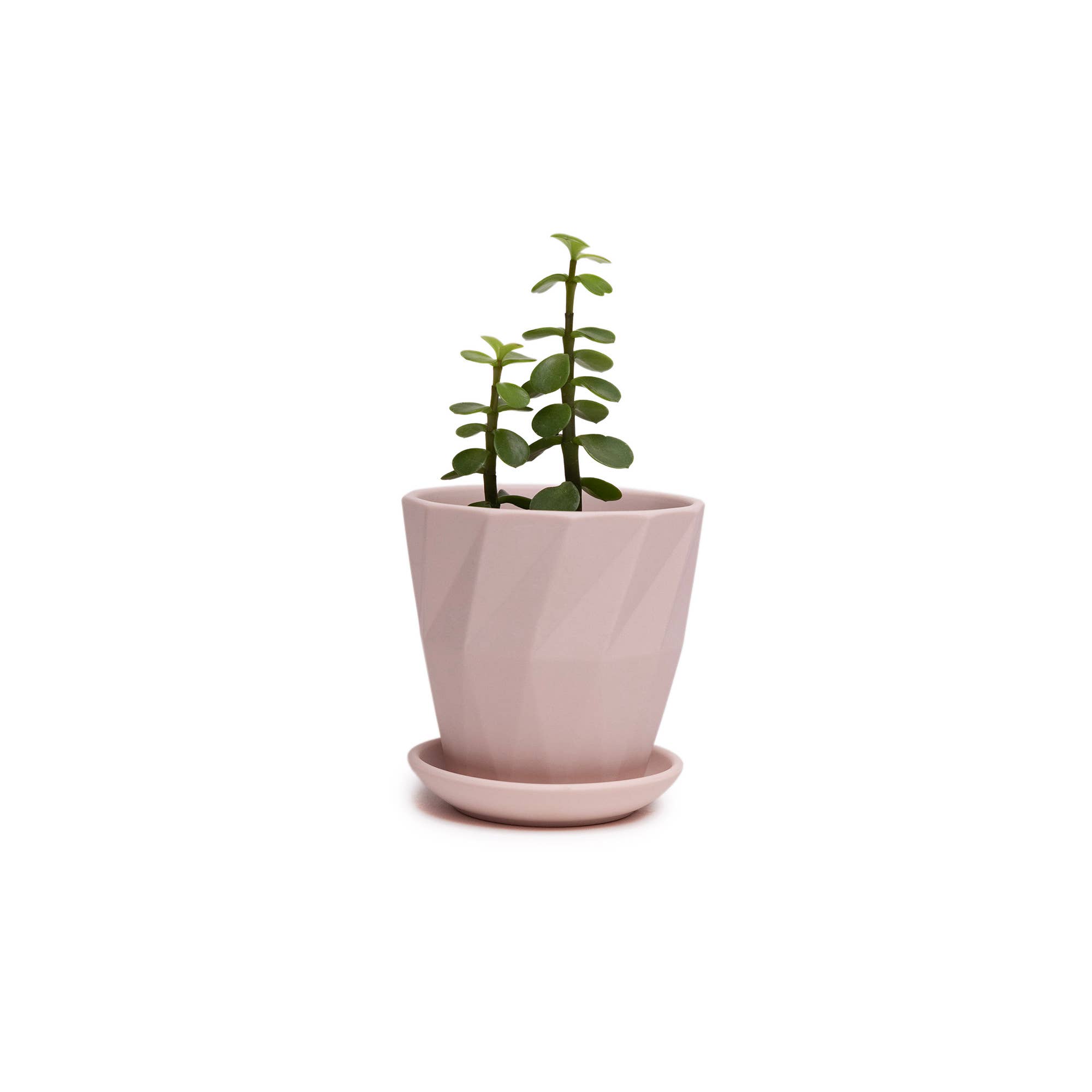 Chive - Wholesale Plant Pot - Handmade Ceramic Virago Pots | Artisan Plant Planters50