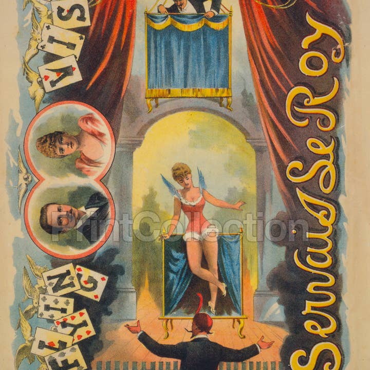 Print Collection - Wholesale Art Print - A Flying Visit by Servais Le Roy