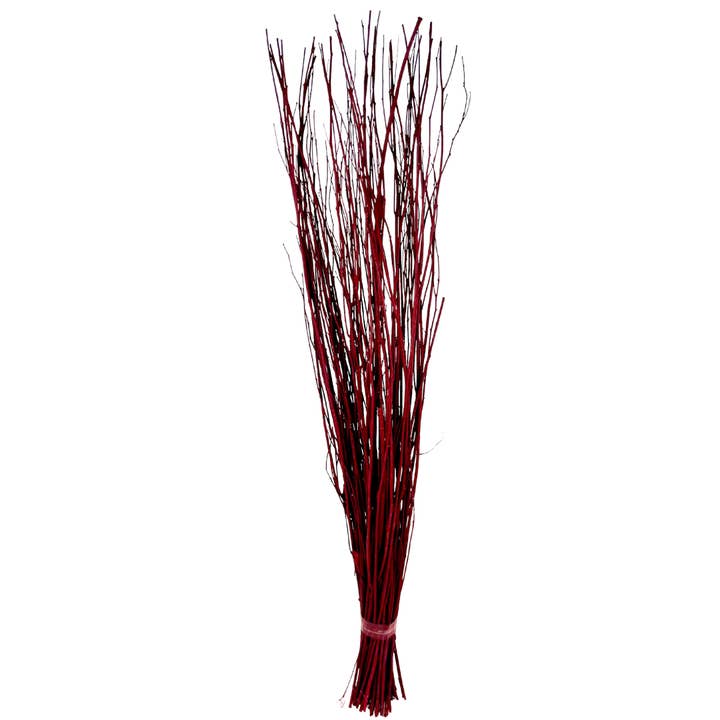 Botanico Ltd. - Wholesale Dried/pressed flowers - Willow Branches1