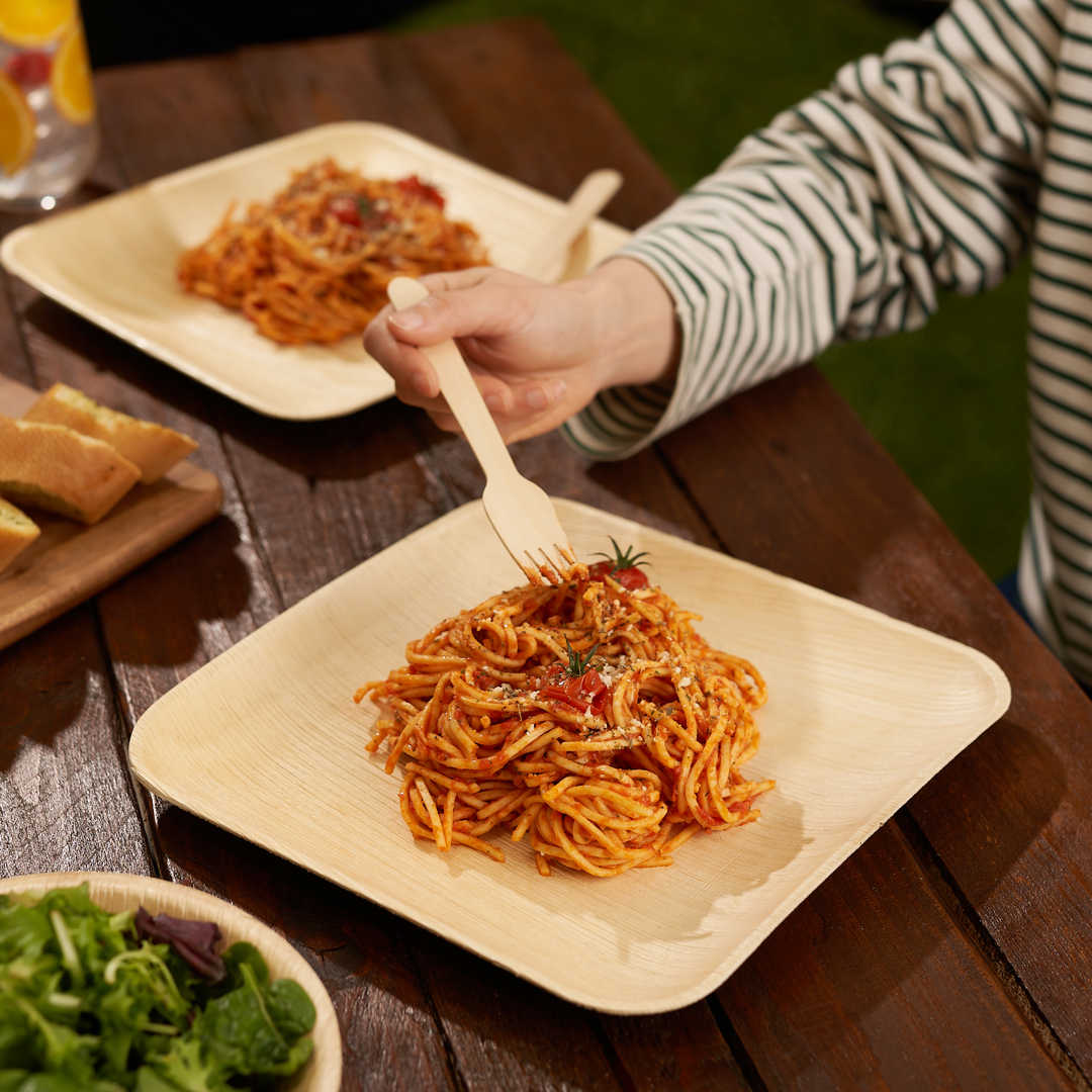 Häago - Wholesale Disposable Plate - 20 Recyclable Palm Leaf Plates1