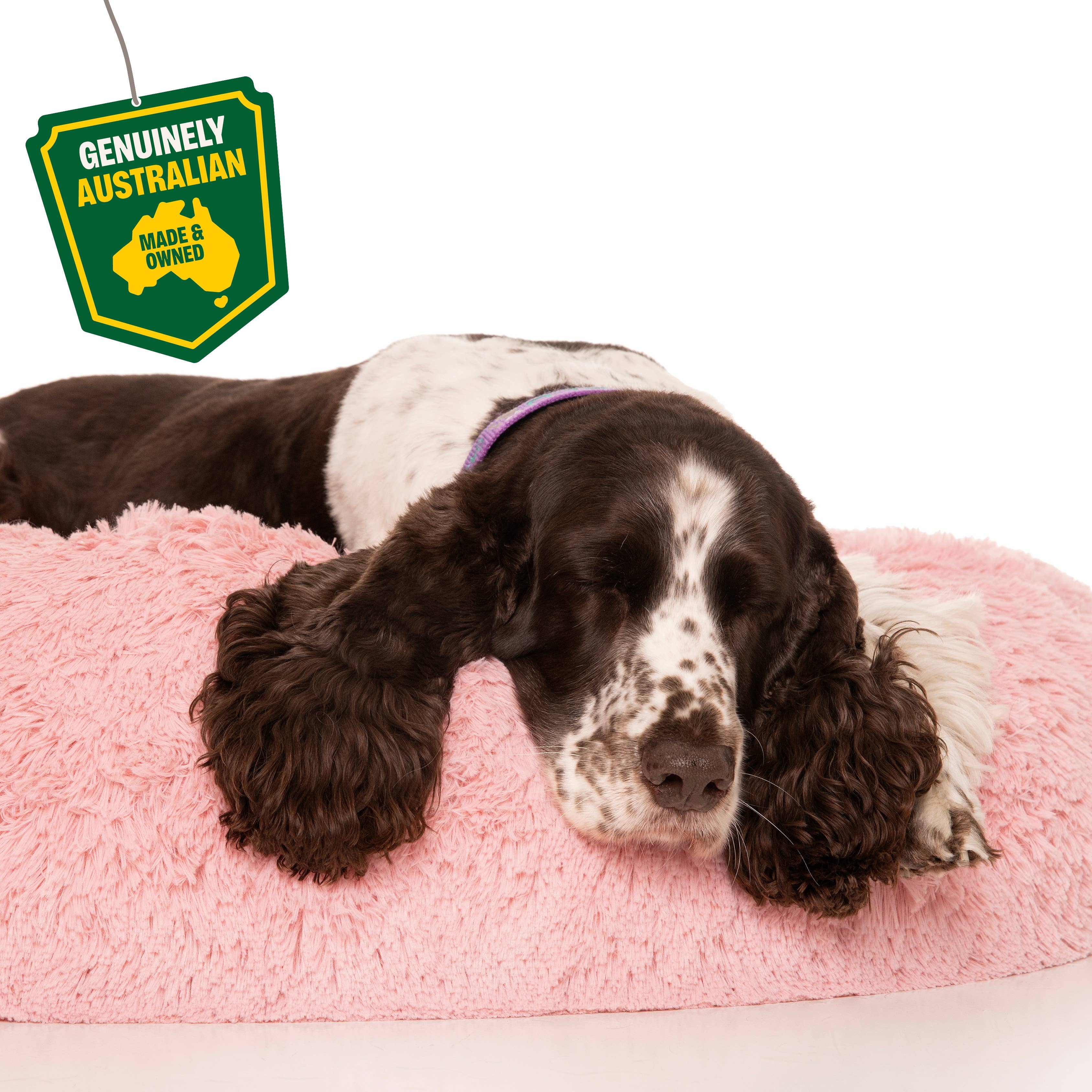 Rover Pet Products – Engroshandel Seng - Hund – Kloud9 Teddy - Australiens bedste beroligende hundeseng (lavet i Australien!)3