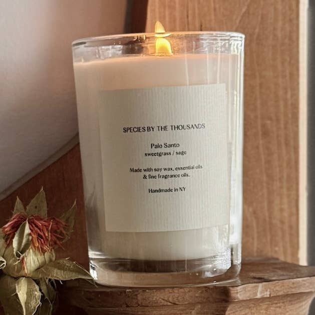 Vela artesanal de soja aromática con Palo Santo, Hierba Dulce y Salvia para venta al por mayor de Species by the Thousands