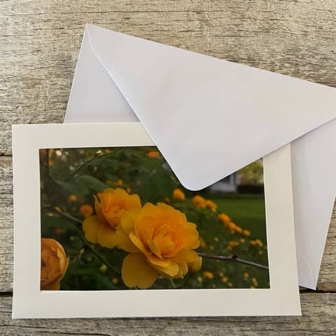 Biglietto di auguri Kerria Blooms per la vendita all'ingrosso da parte di tallygear