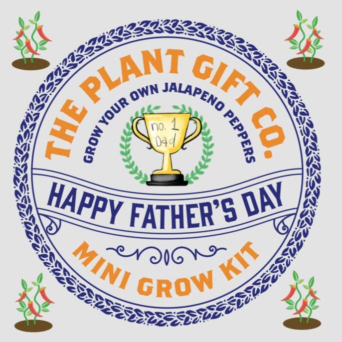 The Plant Gift Co. – wholesale Plant seeds – Happy Father's Day. Eco Mini Chilli Grow Kit