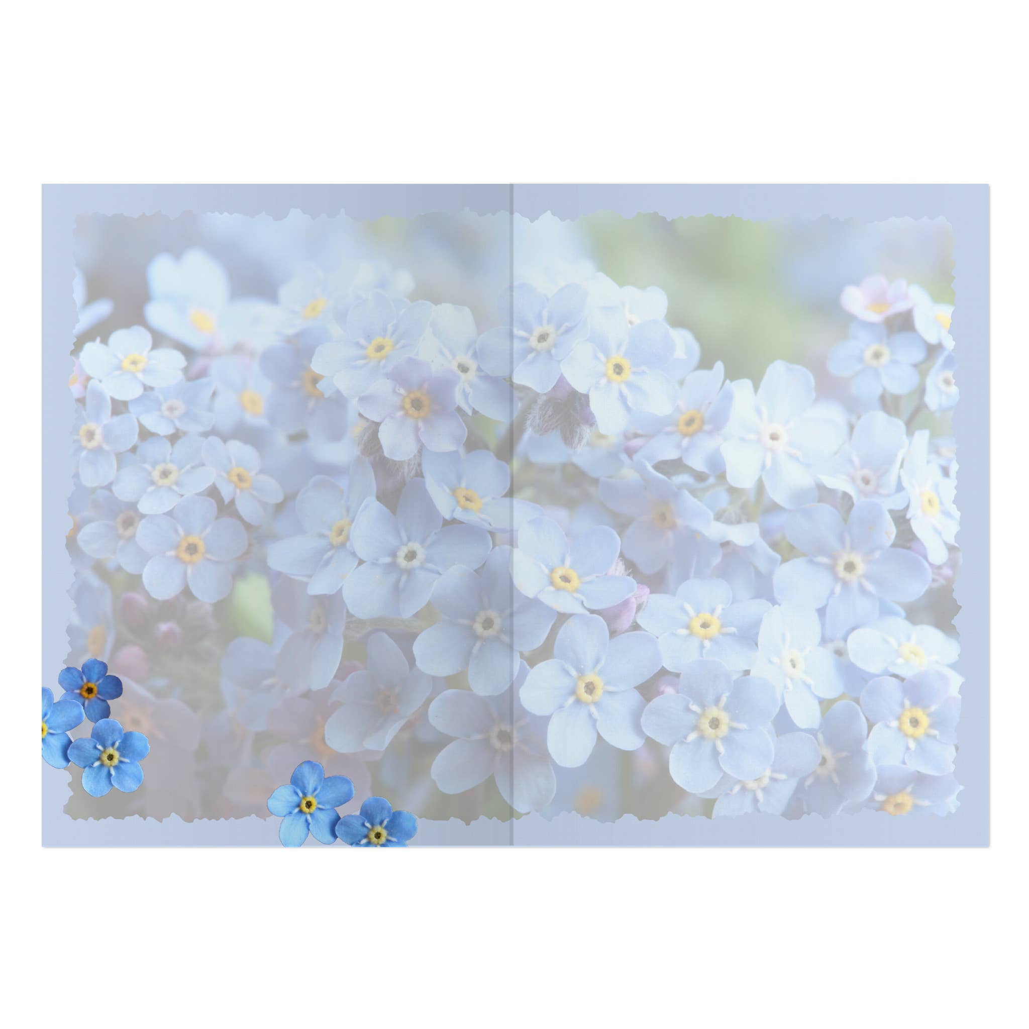 Advice for Life by Your True Nature - Wholesale Everyday Greeting Card - Advice from a Forget Me Not Greeting Card - Blank1
