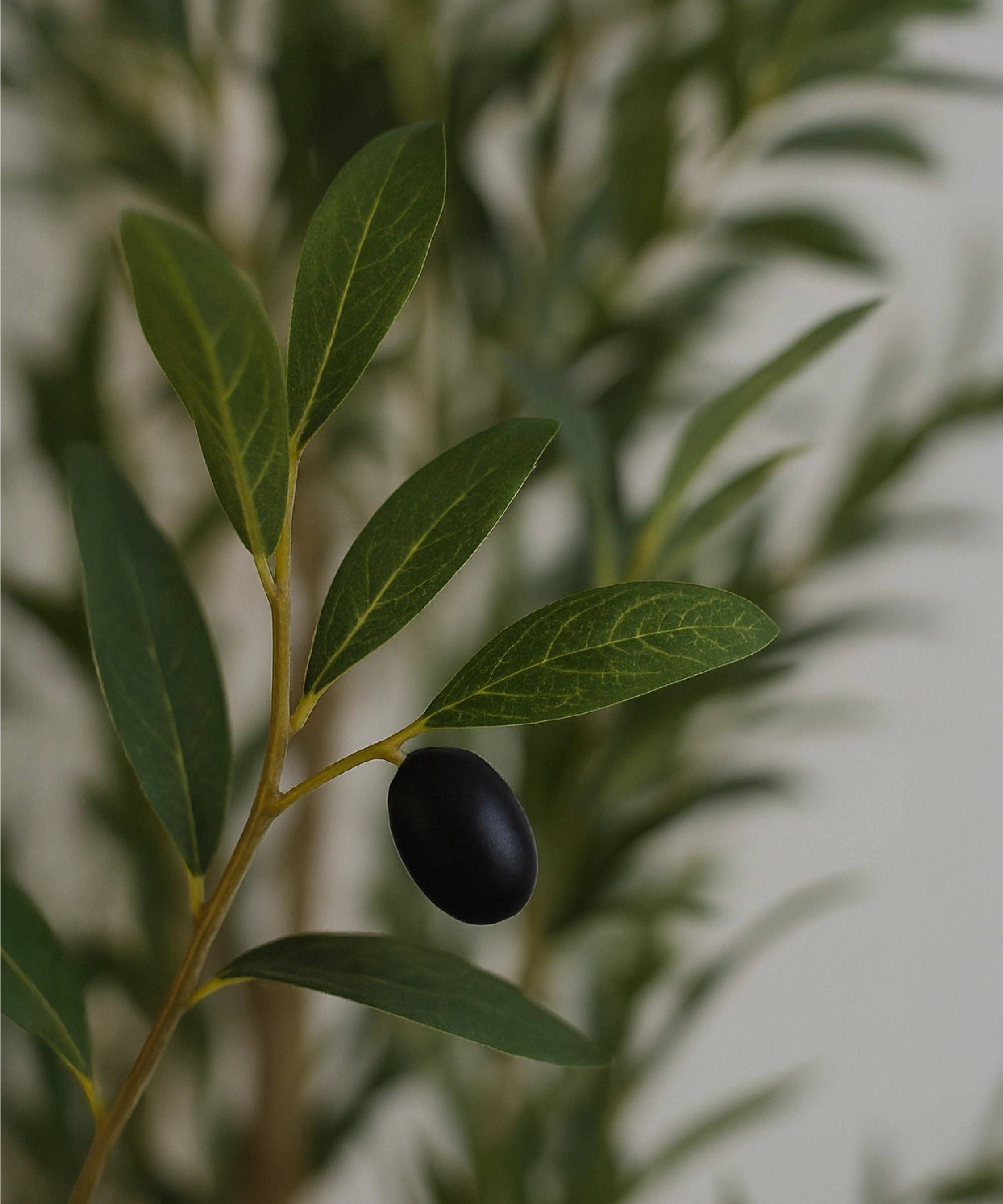 Maia Shop – Großhandel Kunstpflanzen – Künstlicher Olivenbaum Moon 210 cm2