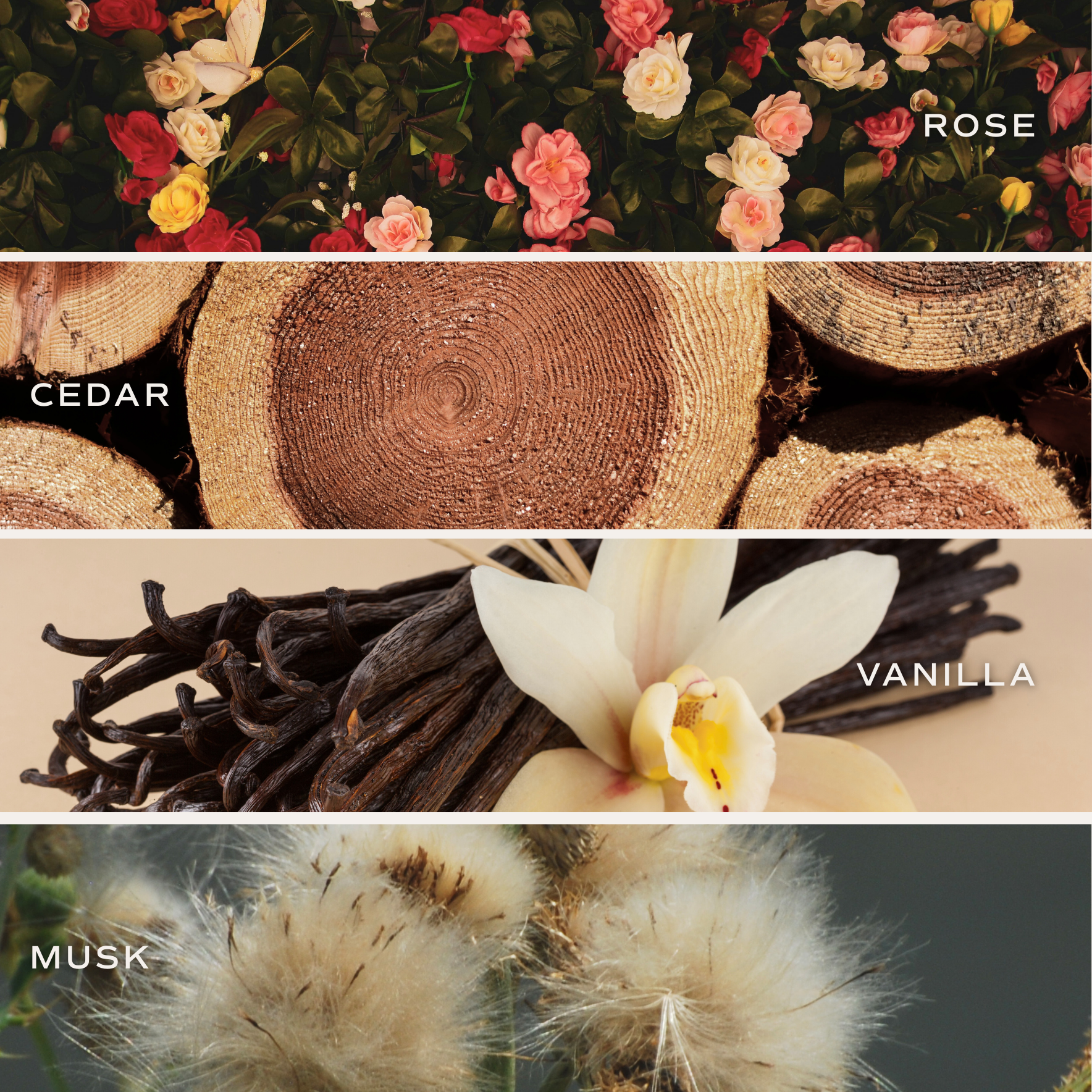 Sweet Water Decor - Wholesale Jar/Filled Candle - Sandalwood Rose 11 oz Soy Candle - Home Decor & Gifts2