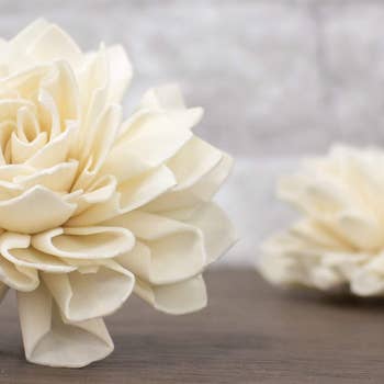 Sola Wood Flowers Wholesale Products Buy With Free Returns On Faire Com