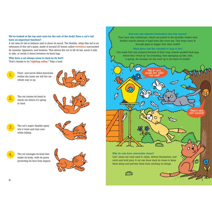Peter Pauper Press - Wholesale Book - Kids - 100 Questions about Cats