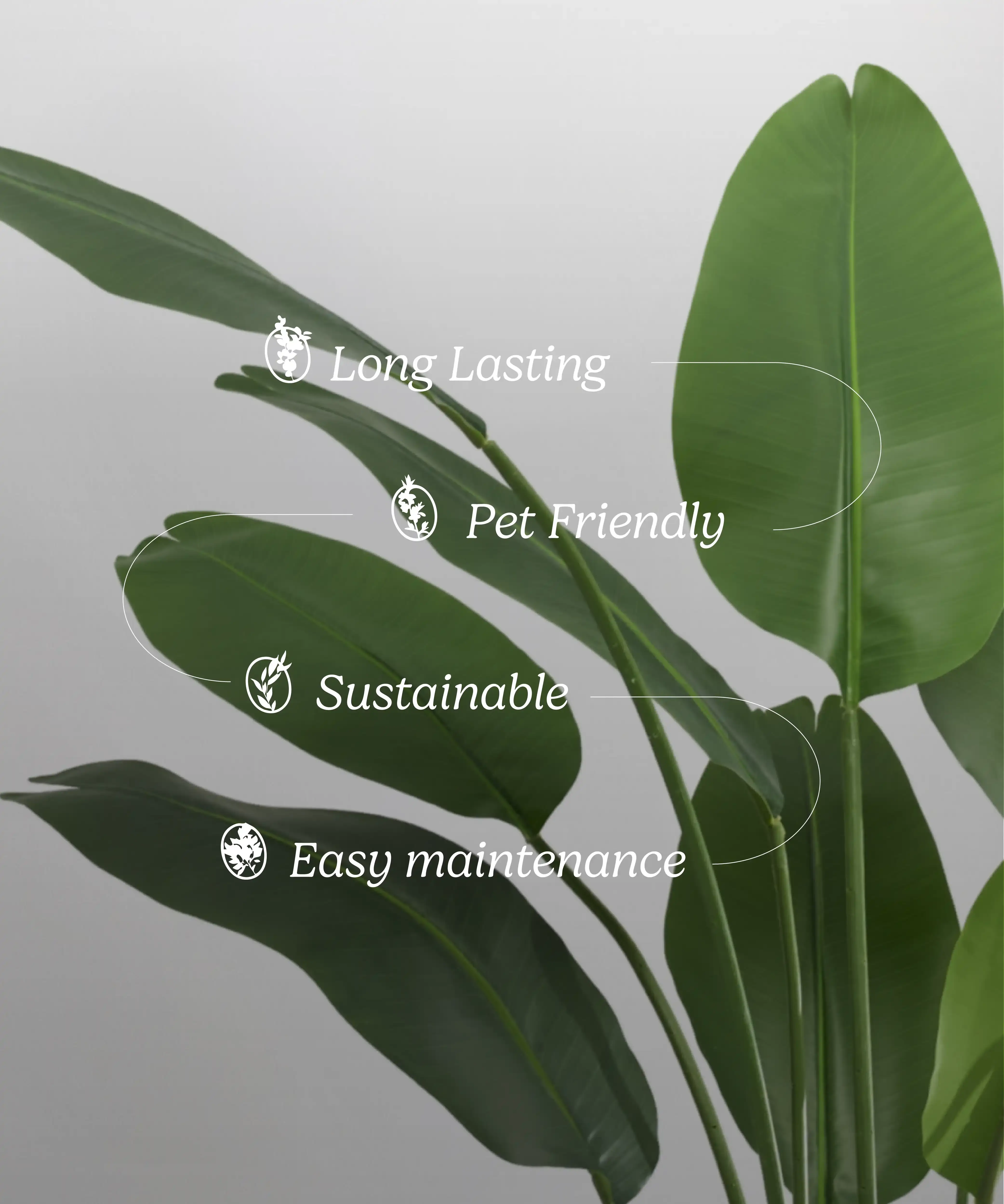 Maia Shop - Wholesale Artificial Plant - Artificial Bird of Paradise 180 cm3