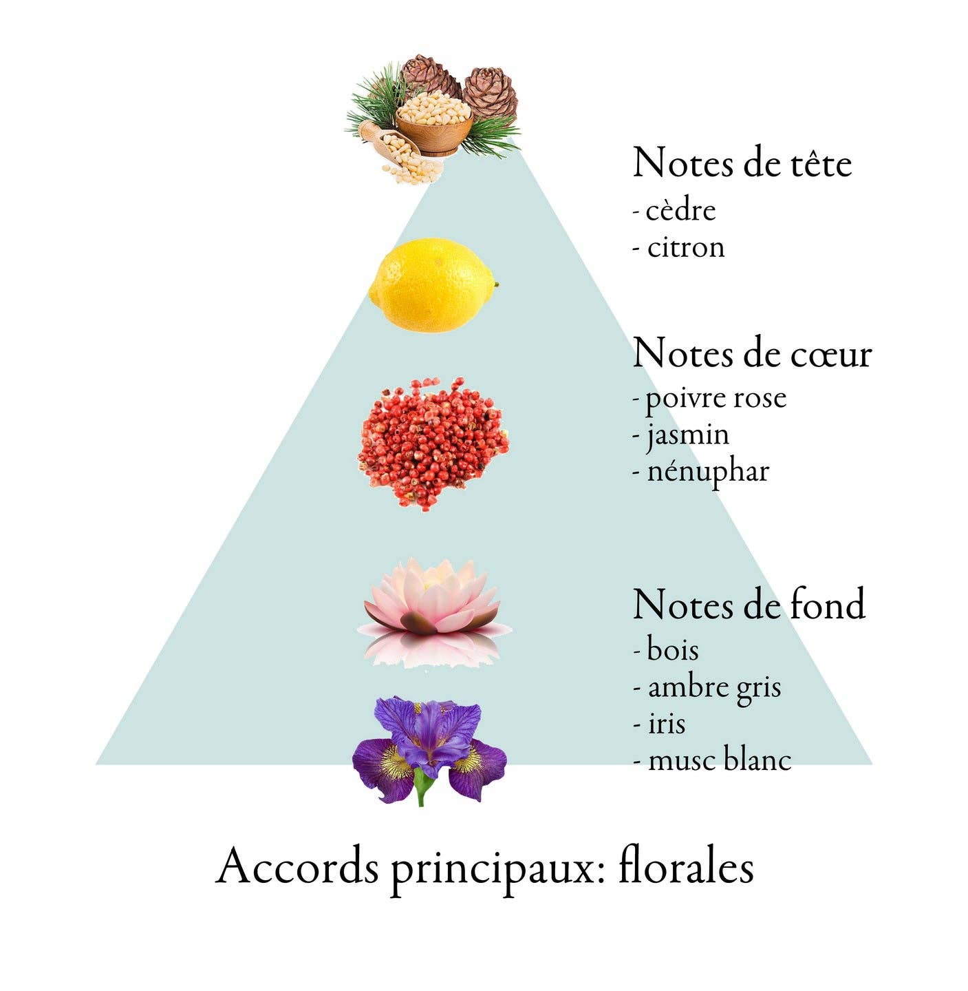 FAMILLE GRASSE PARFUMS - Wholesale Parfum/Eau de toilette - LIBELLE eau de parfum voor vrouwen 100ml3