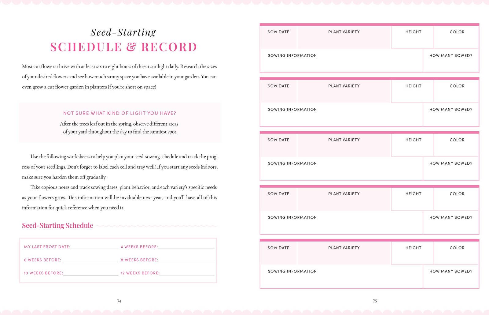 Harvest House Publishers Gift & Specialty Books - Wholesale Planner - Bricks 'n Blooms Beautiful & Easy-Care Flower Garden Planner5