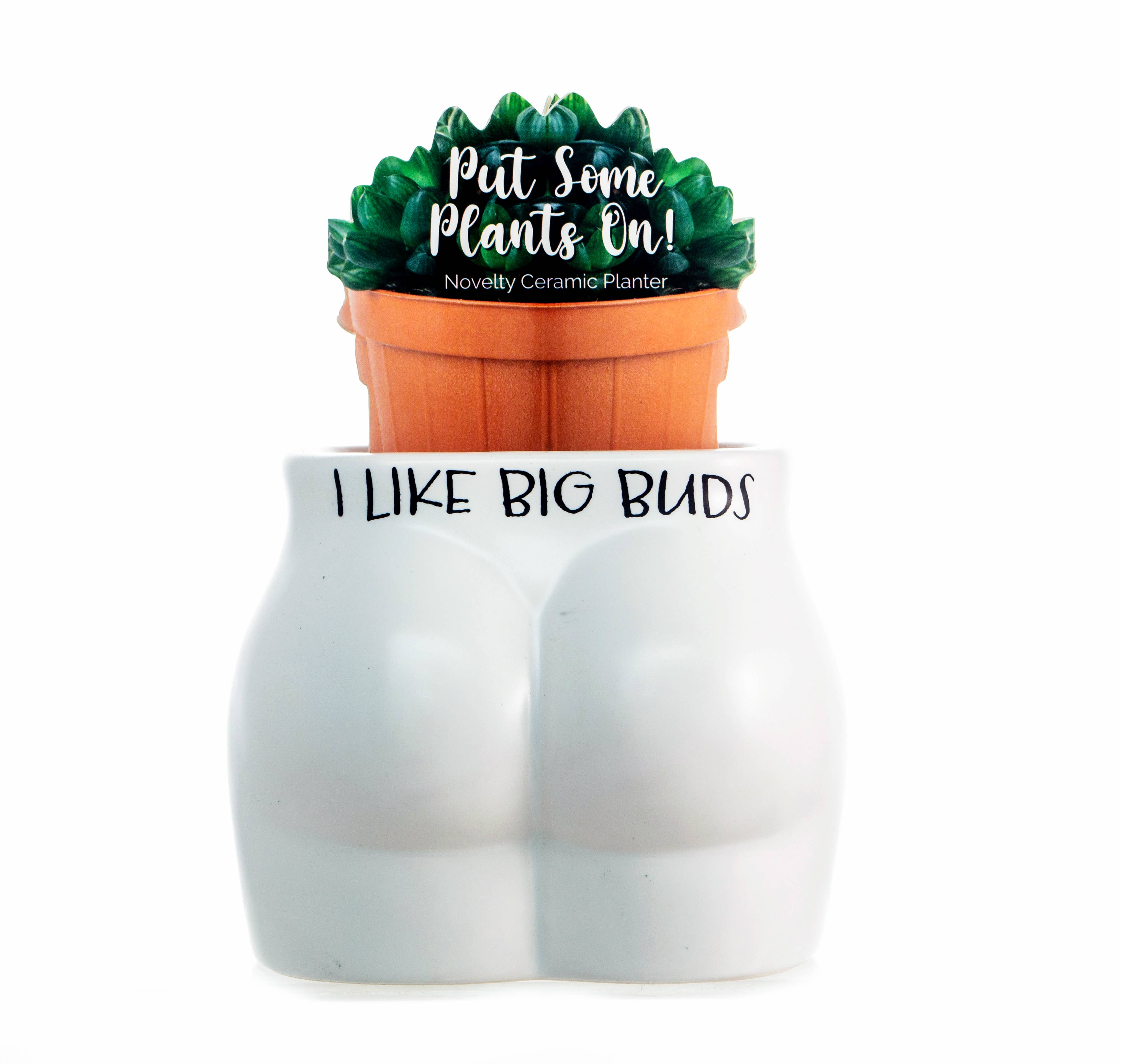Boxer Gifts - Wholesale Plant Pot - I Like Big Buds Put Some Plants On - Novelty Indoor Planter3