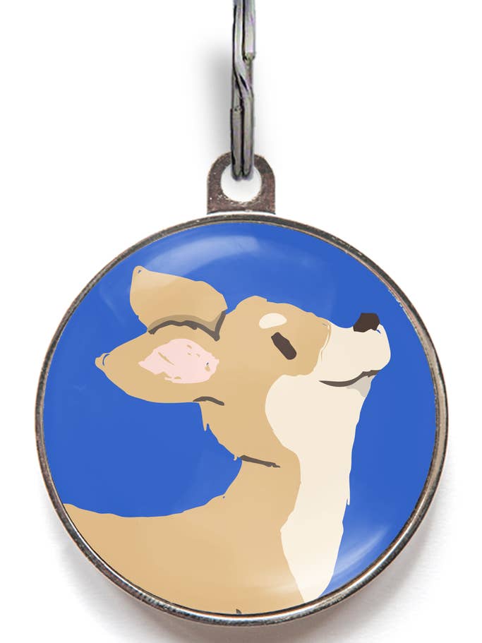 Etiqueta de identificación inteligente para perros Chihuahua - Fawn Chihuahua para venta al por mayor de WagATudeTags