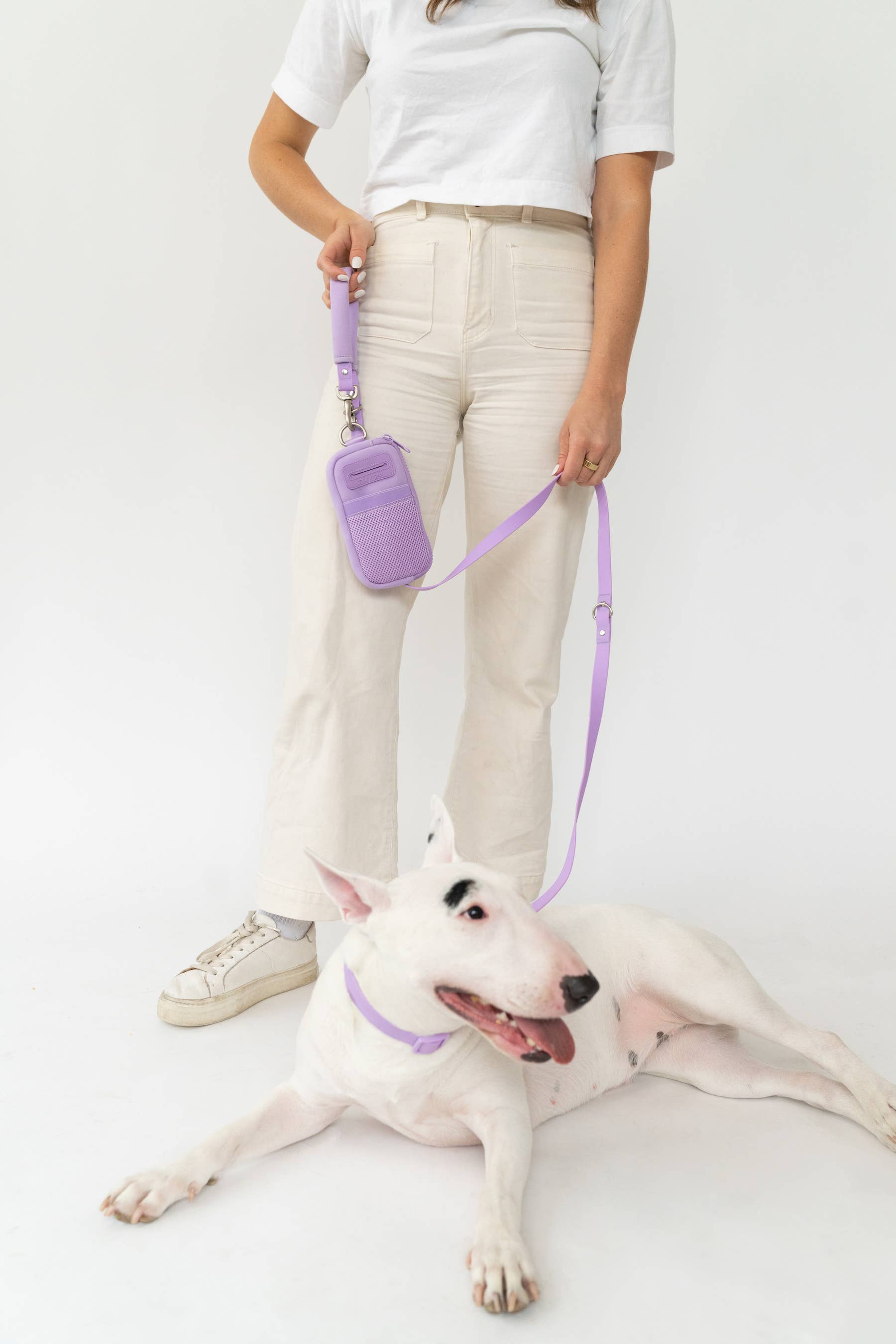 Springland Pets – Großhandel Leine – Hund – Dog Walk Bag mit Leine – praktische Hundespaziergang-Lösung (4er-Set, gemischt)4