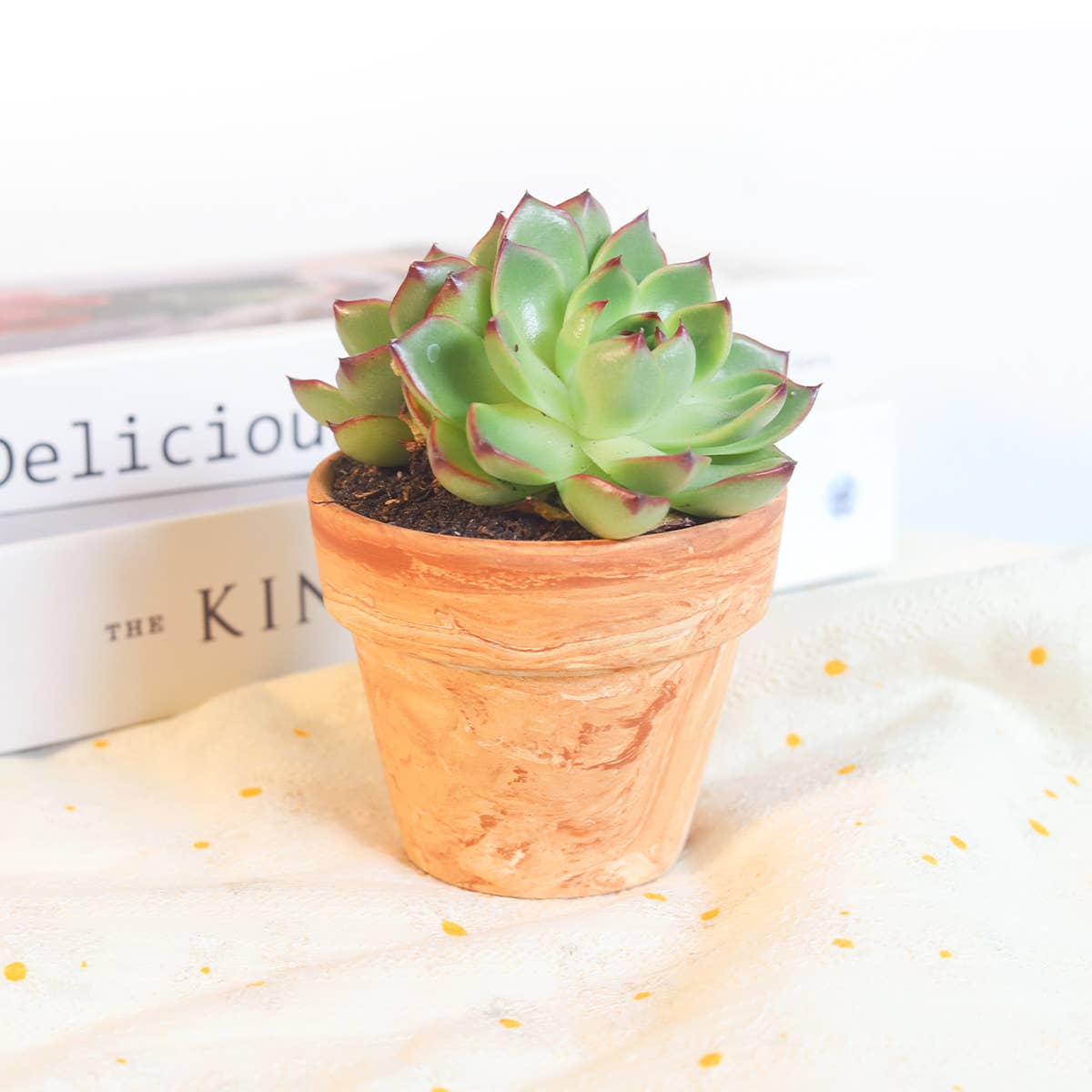 Marble Finish Terra-cotta Pot