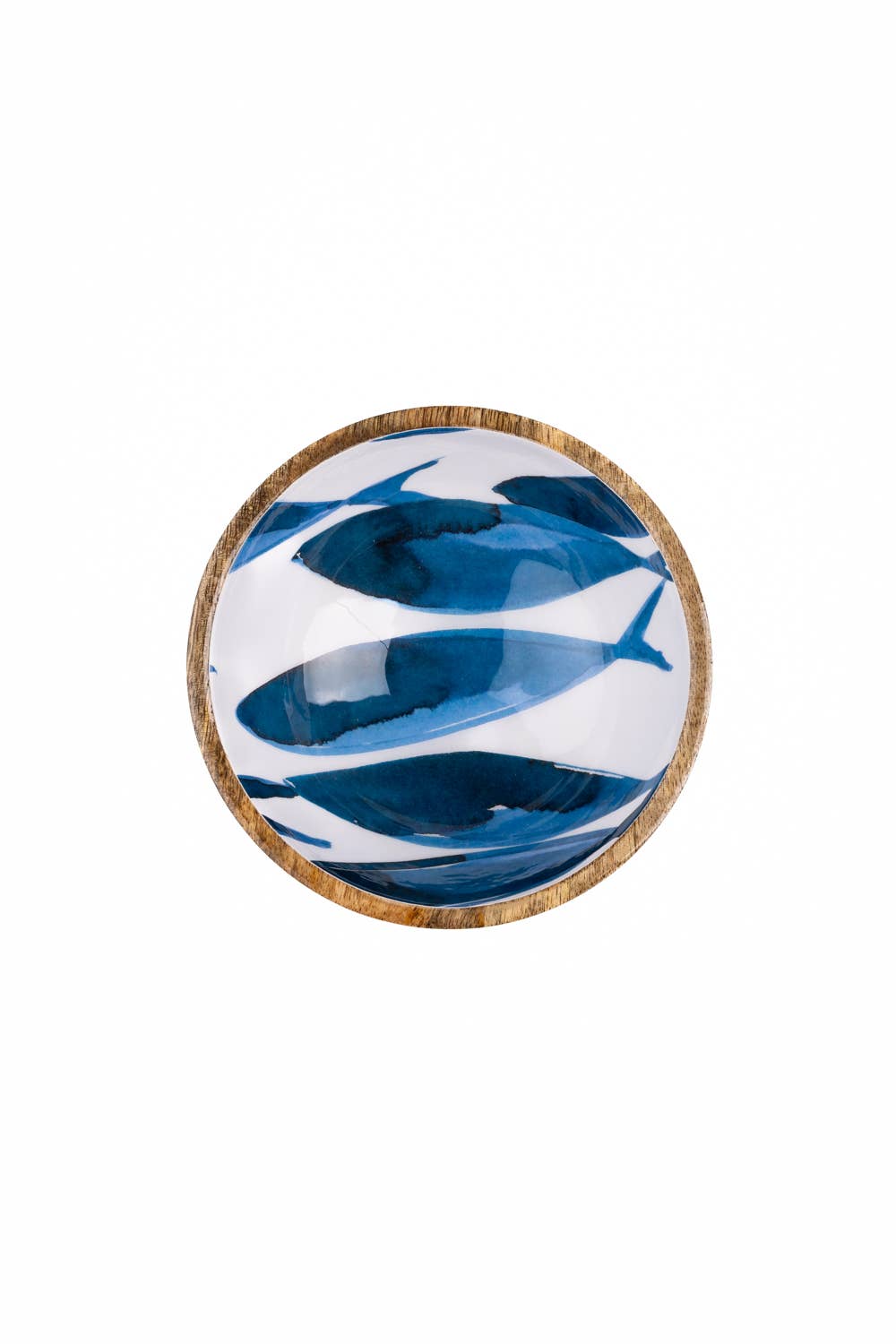 Shoeless Joe Ltd - Vendita all'ingrosso Ciotola - Ciotola Ocean Fish per salse1