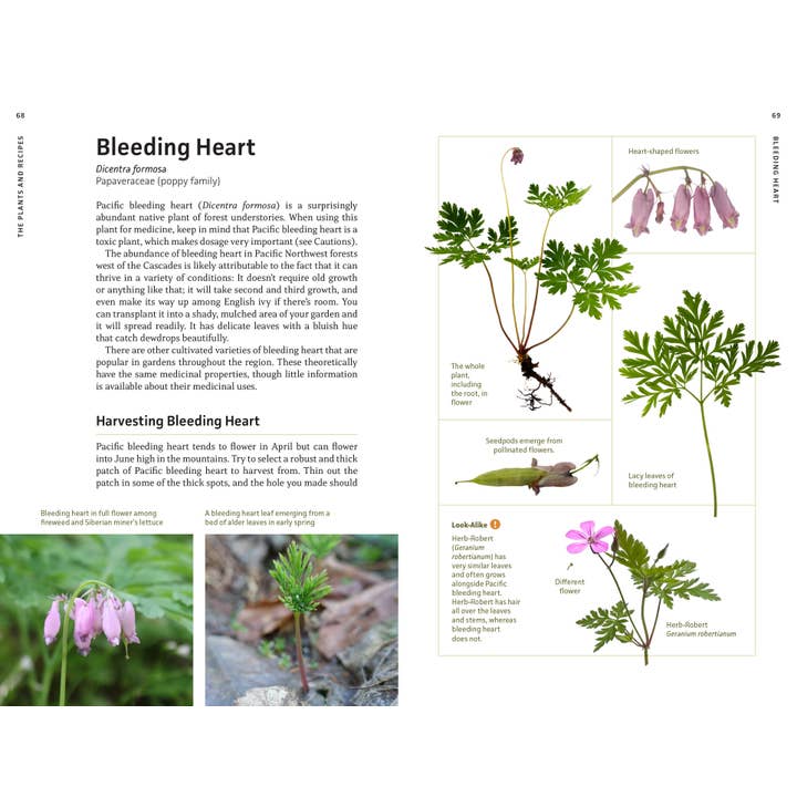 Mountaineers Books - Venta al por mayor Nature & Outdoors - Plantas medicinales del noroeste del Pacífico3