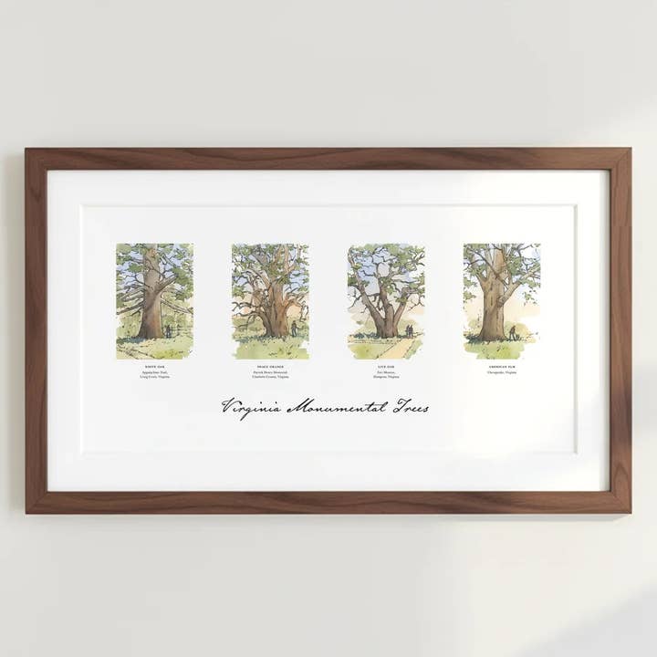 Peter Giraudeau - Wholesale Art Print - Virginia Monumental Trees I - Watercolor1