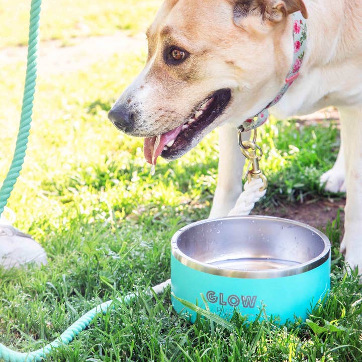Aqua Blue Stainless Steel Dog Bowl - 32oz & 64oz for wholesale by Glow Pups