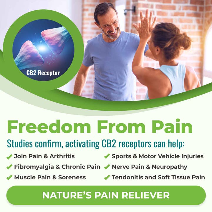 Cannanda - Wholesale Oral Supplement/Vitamin - CB2 HEMP SEED OIL >> Vegan Softgels (70 Vegan Softgels)