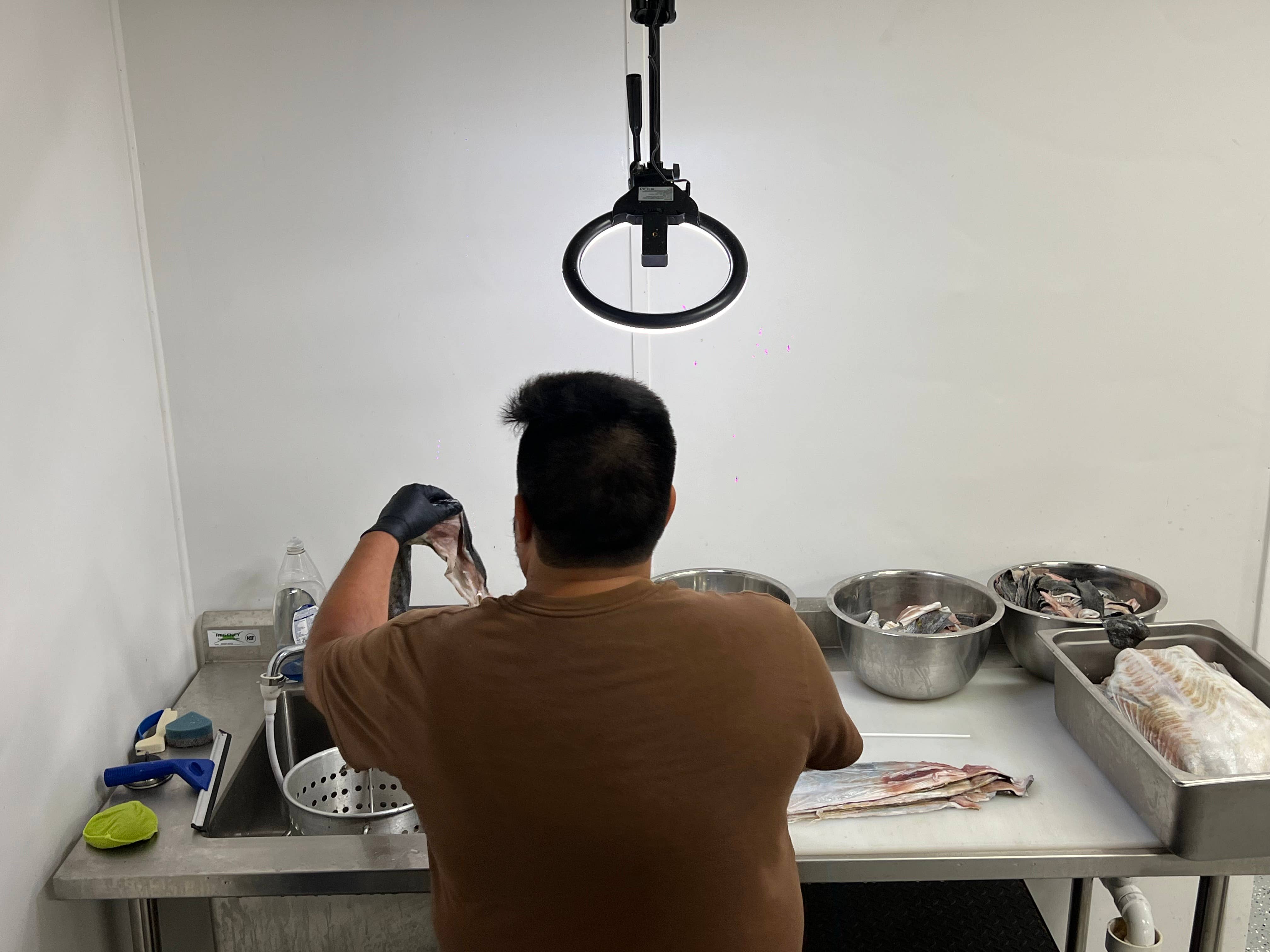 Florida Man Pet Treats - Wholesale Pet Treats - Dog - Dehydrated Mahi Mahi Dog Chew10