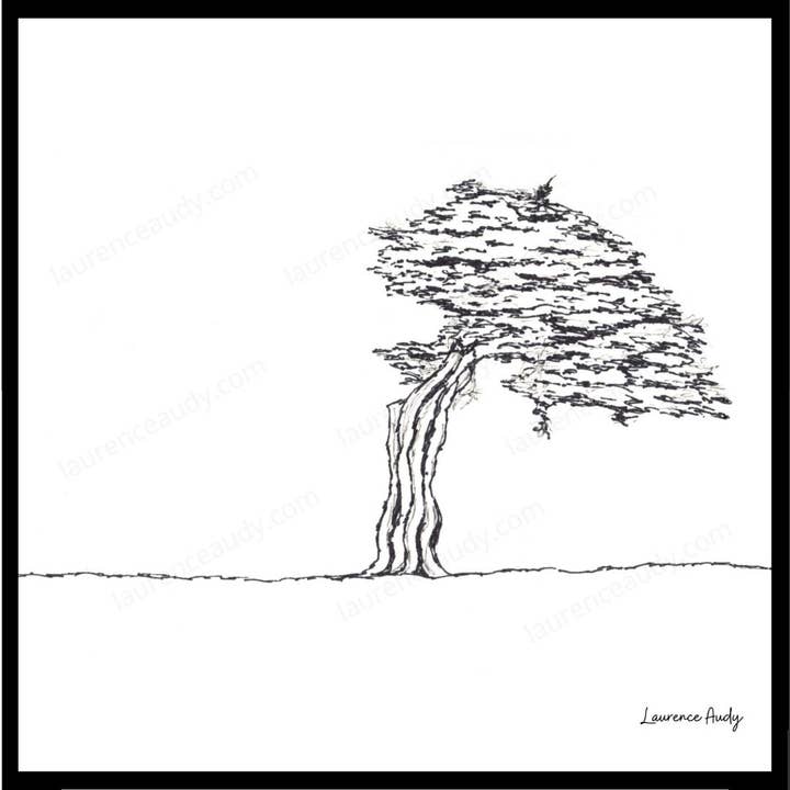 B&B-TREE-03 QUADRATO 30x30 per la vendita all'ingrosso da parte di LAURENCE AUDY CROQUIS