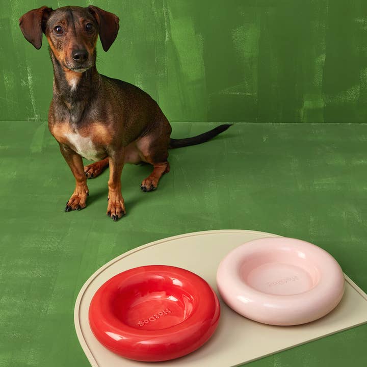 HotDog Pets - Wholesale Pet Bowl - Cat/Dog - Pink ceramic dog feeder5