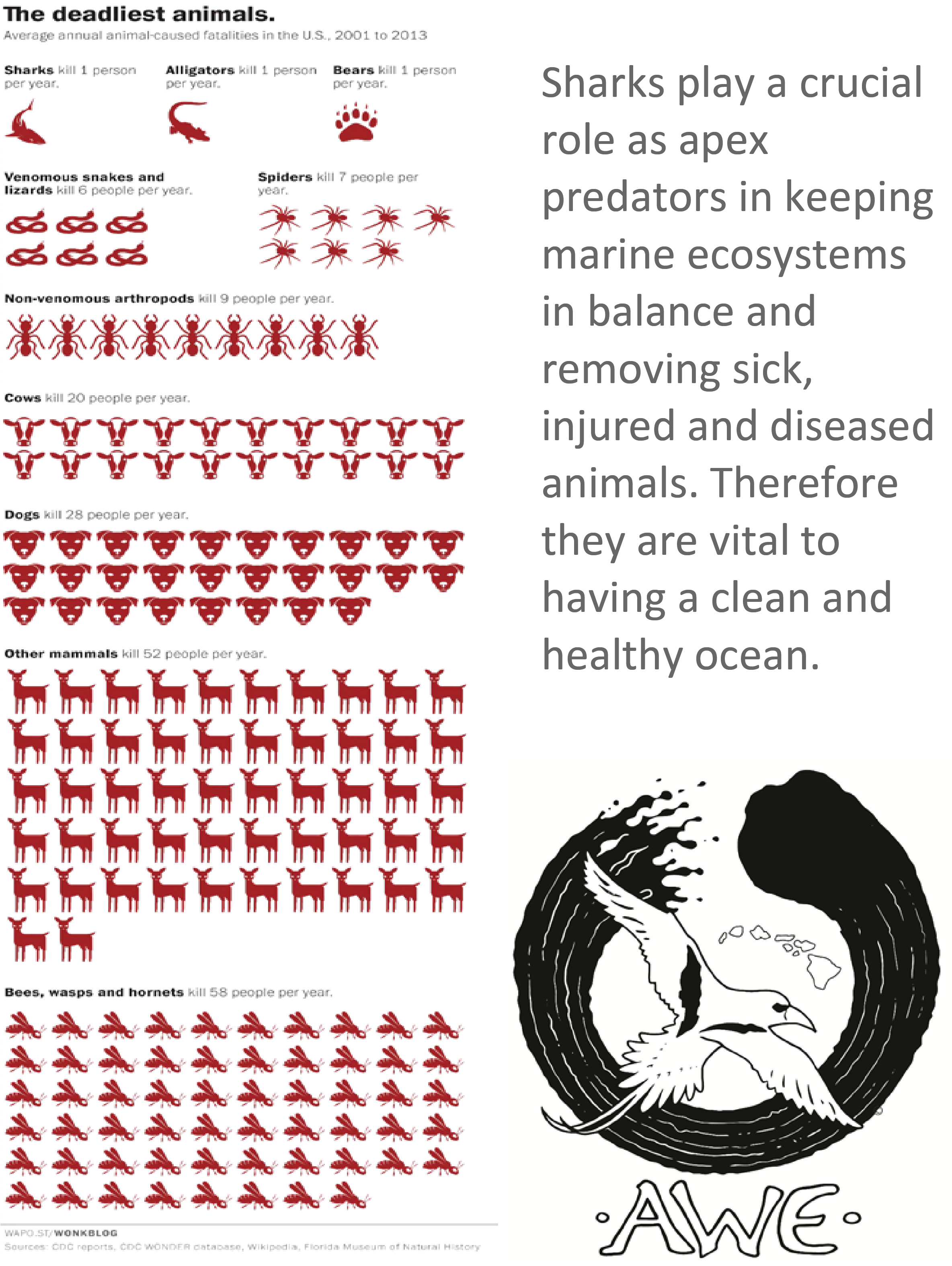Advance Wildlife Education LLC – wholesale Målarbok - Barn och baby – Hawaiian Wildlife Pedagogisk målarbok (Oelo/engelska)6