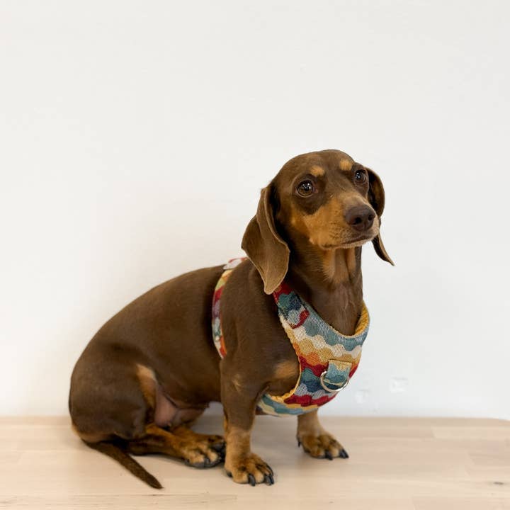 Ritzo Sele og Line Sæt for engroshandel hos De La Mur