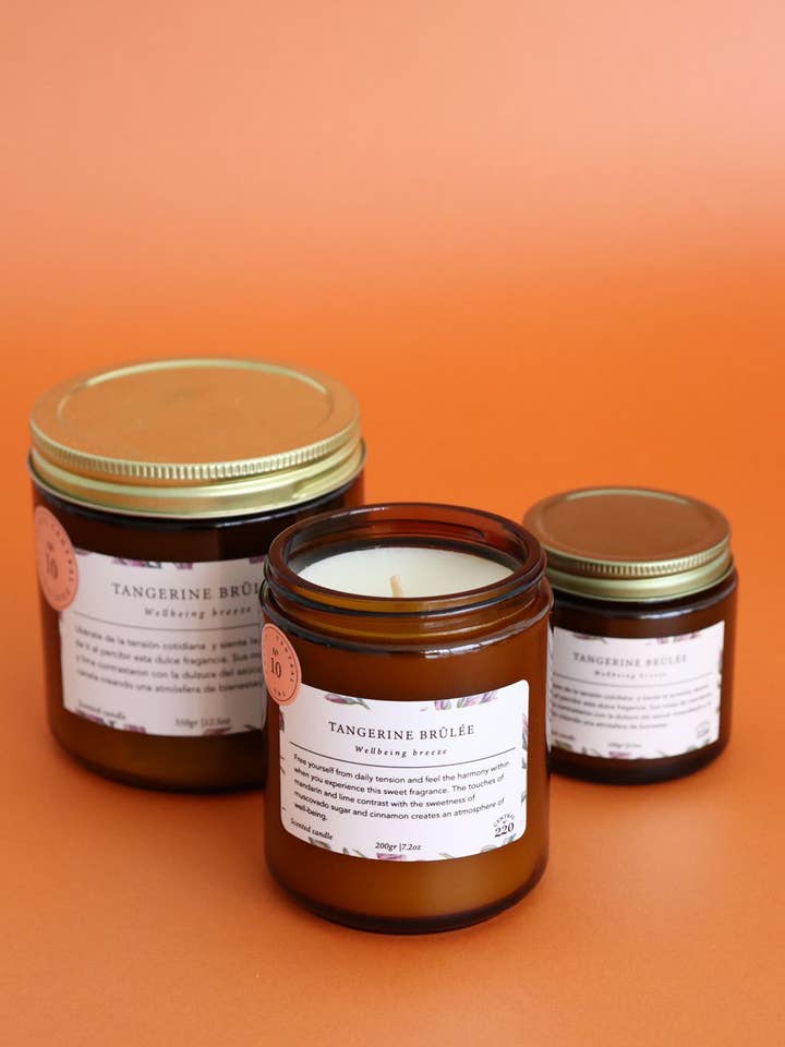 10 | Wellbeing | Bougie brûlée à la mandarine | Bougie parfumée pour la vente par Central 220