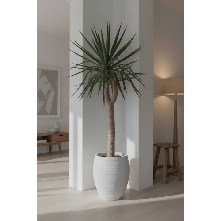Ecobo - Wholesale Plant Pot - Ravina Pot Planter3