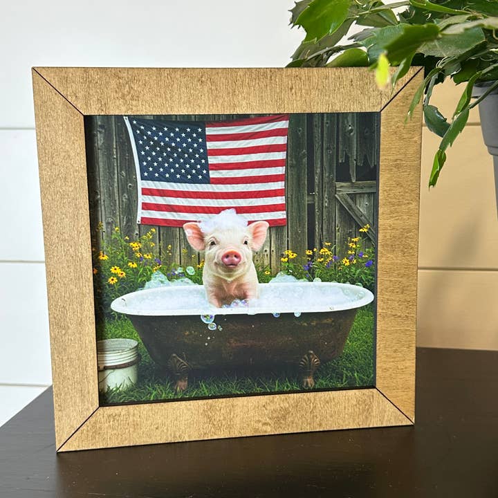 Estrelas, Riscas e Focinhos Ensaboados de 8,5” por atacado de Farmhouse Decor & Co.