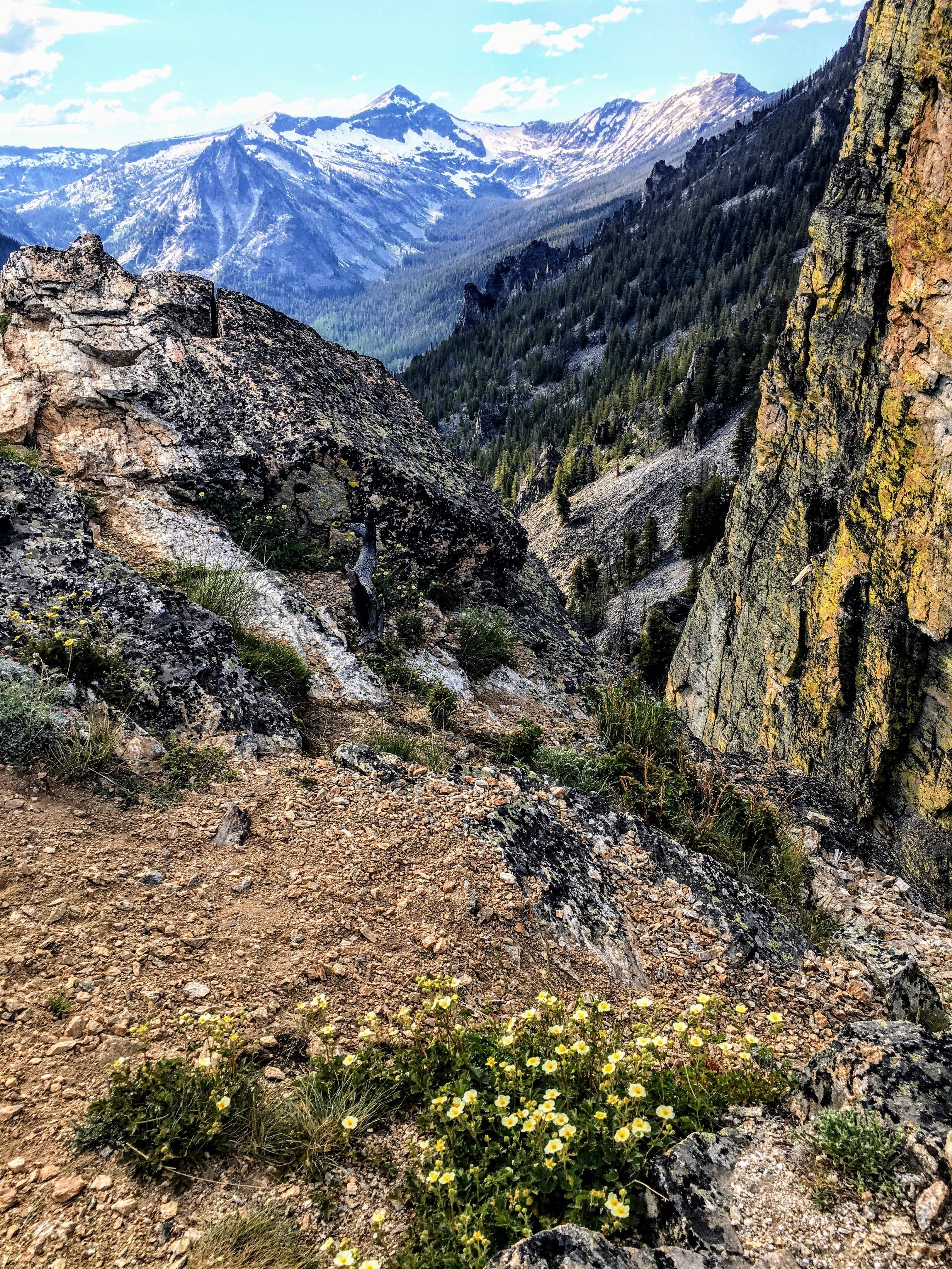 Pine and Sage Candles – Velas de viagem por atacado – Trilho da Montanha - Lata de Vela Preta Fosca de 6 oz6