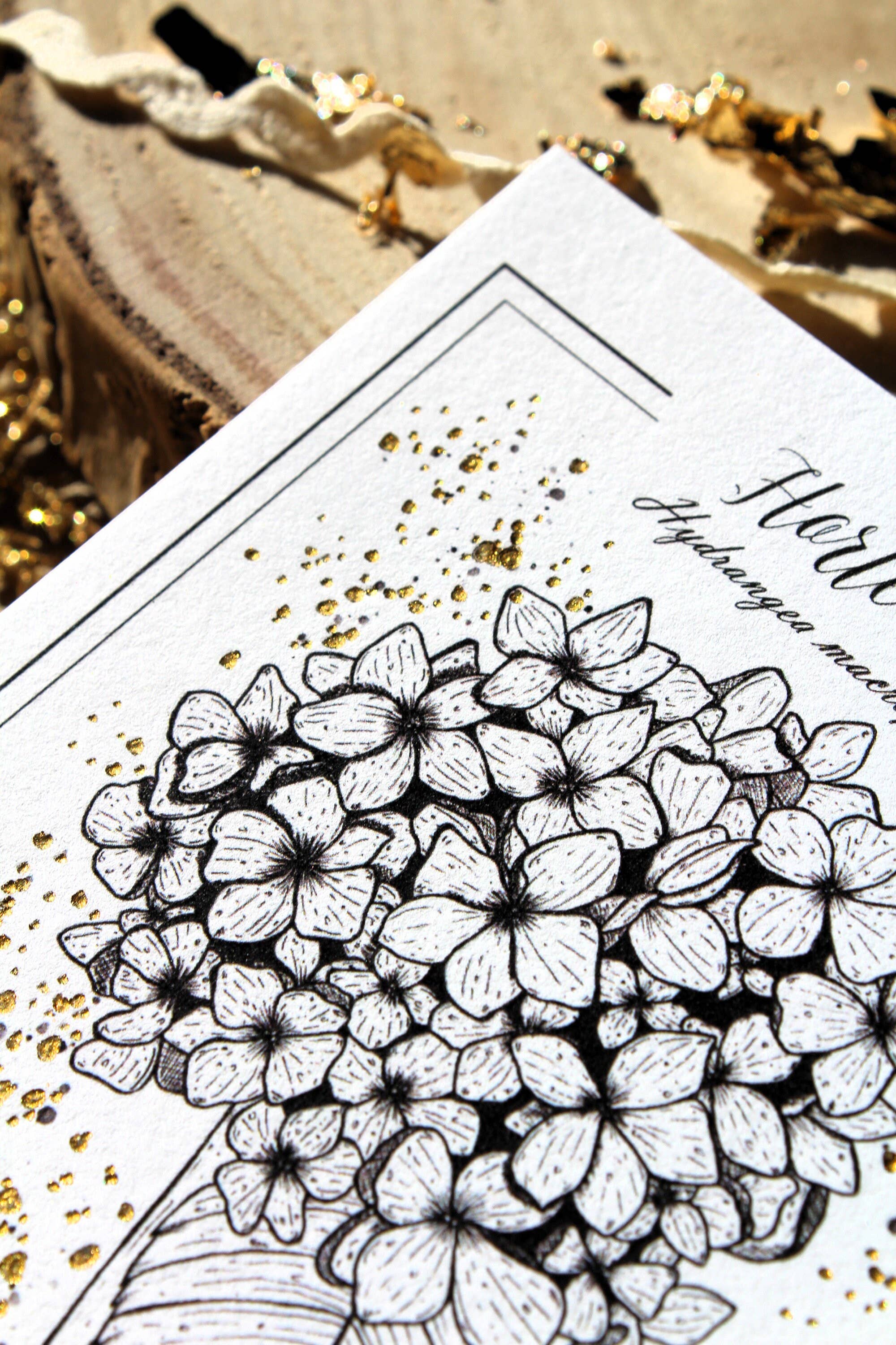 Au cœur des lunes - Vente Cartes postales - Reproduction botanique hortensia dorée et gravure2