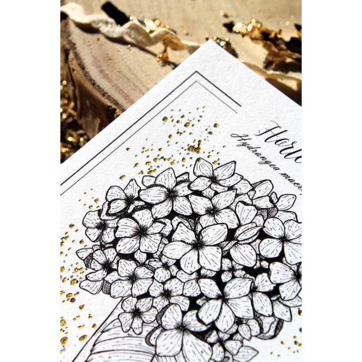 Au cœur des lunes - Vente Cartes postales - Reproduction botanique hortensia dorée et gravure2