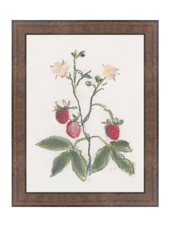 Ramo di Fragola per la vendita all'ingrosso da parte di Splendus