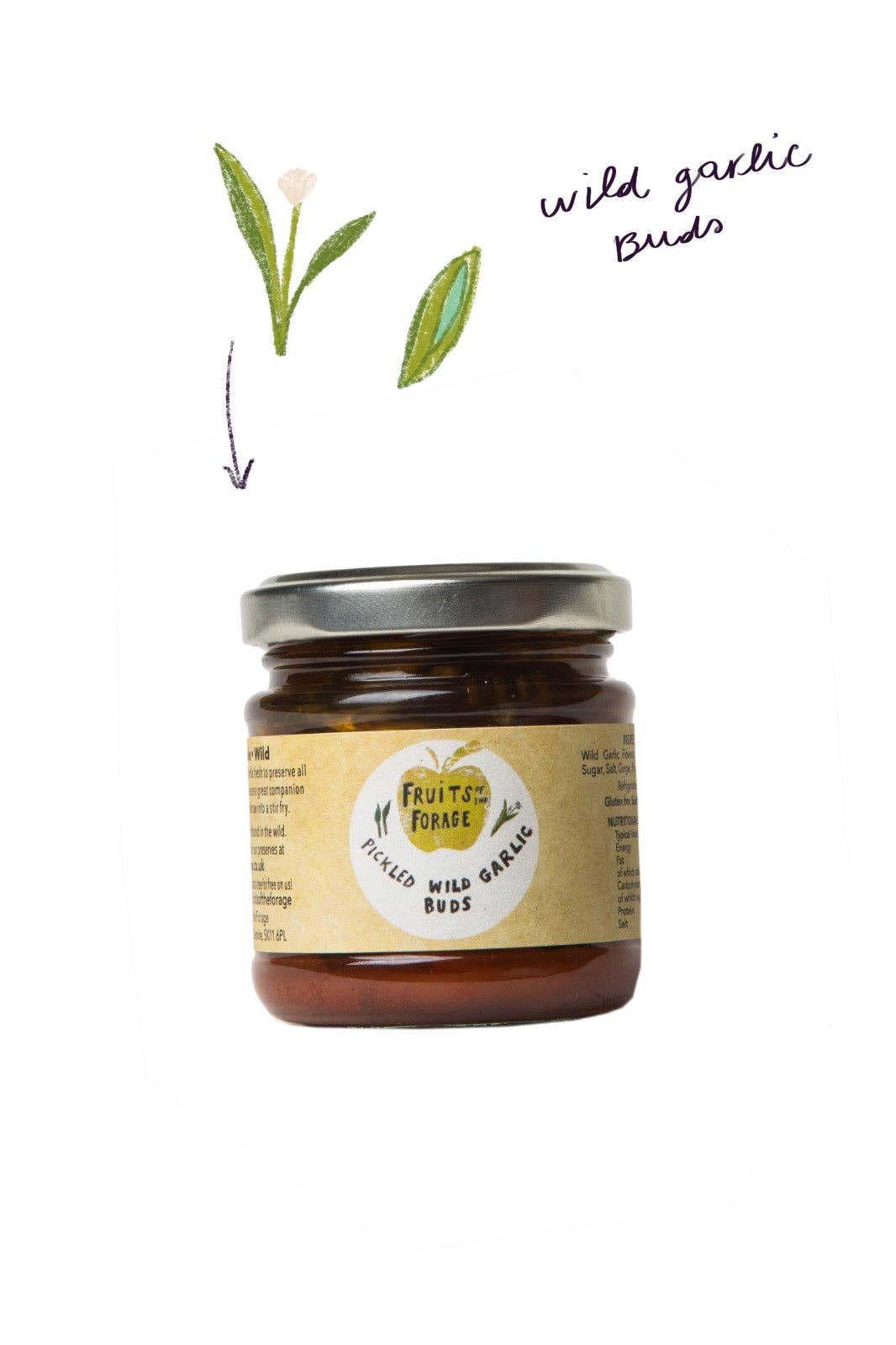 Fruits of the Forage – wholesale Pickled vegetables – Pickled Wild Garlic Buds